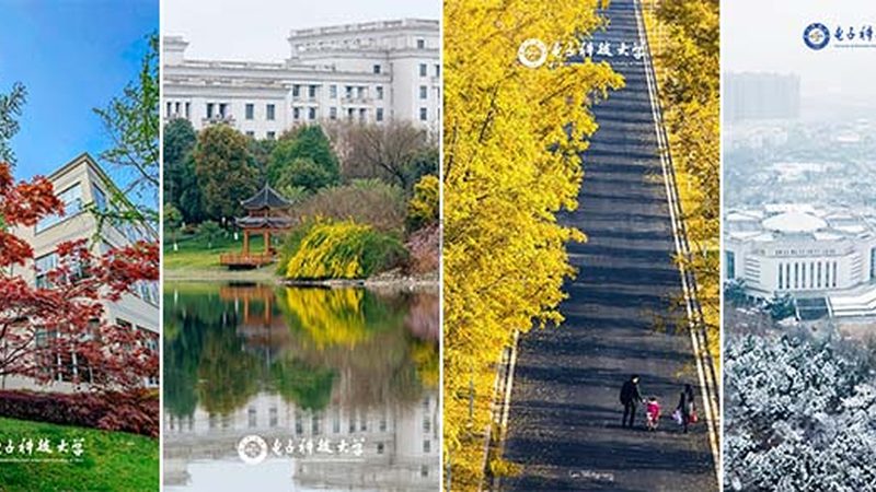 电子科技公司经营范围加盟，如何把握关键要素？**